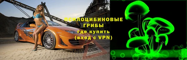 шишки Балабаново