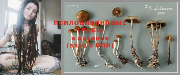 шишки Балабаново