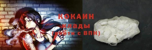 шишки Балабаново