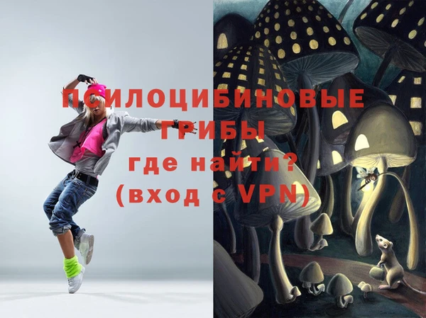 гашик Баксан