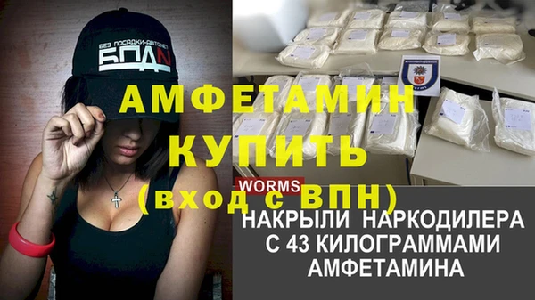 шишки Балабаново