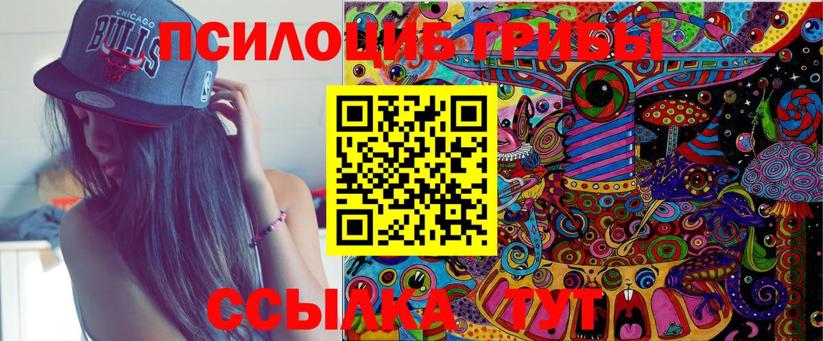 Псилоцибиновые грибы Psilocybine cubensis  Вятские Поляны  Галлюциногенные грибы MAGIC MUSHROOMS 