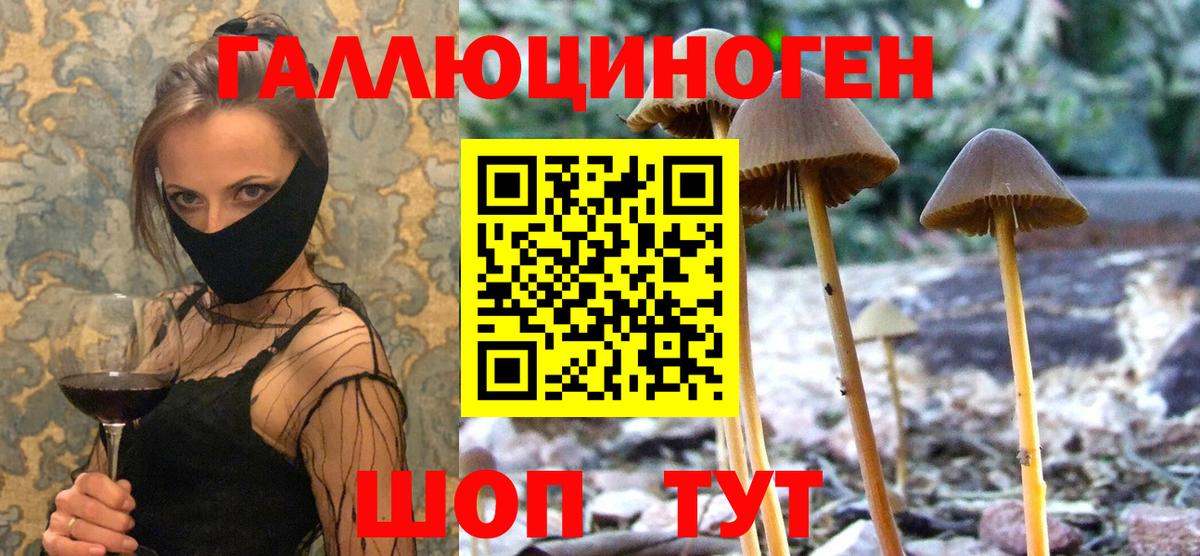 Меф МЯУ МЯУ кристаллы  Alpha-PVP СОЛЬ кристаллы  МАРИХУАНА  Вход с VPN  Купить  Вятские Поляны  Cocaine  ГАШ 