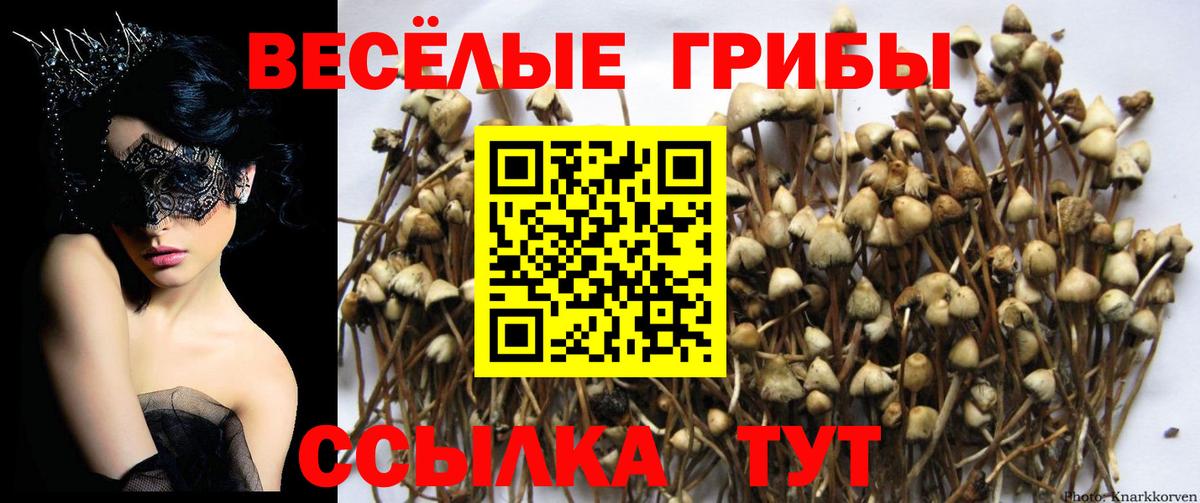 Псилоцибиновые грибы ЛСД  Галлюциногенные грибы Cubensis  Вятские Поляны  Вход с VPN 